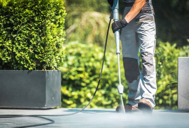 Best Graffiti Removal  in Monroeville, OH